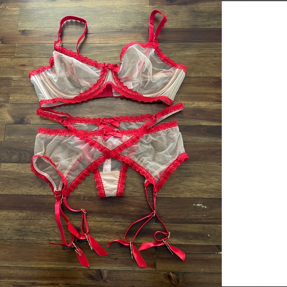 Agent Provocateur bra, panty, and garter set